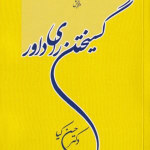 گسیختن رای داور