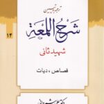 شرح لمعه ج14 قصاص ديات