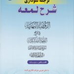 شرح لمعه نموداري ج10 قصاص ديات