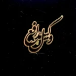 بج سینه وکیل مدافع طرح 1