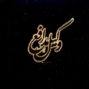 بج سینه وکیل مدافع طرح 1