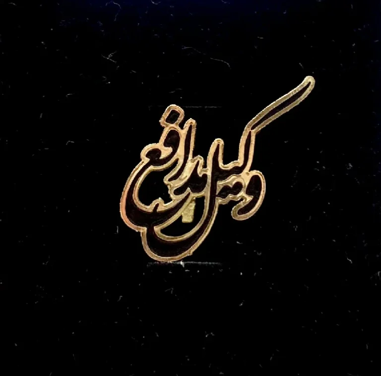 بج سینه وکیل مدافع طرح 1