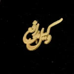 بج سینه وکیل مدافع طرح 2