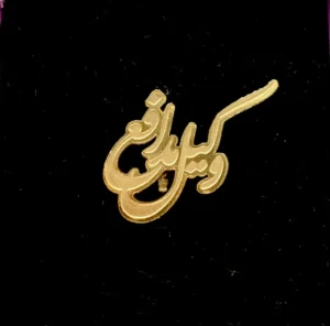 بج سینه وکیل مدافع طرح 2